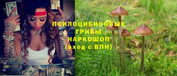 ALPHA PVP Магас